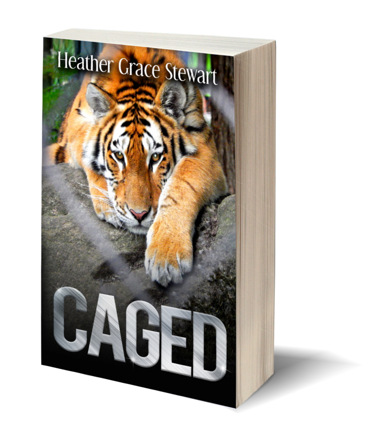 3d-book-caged
